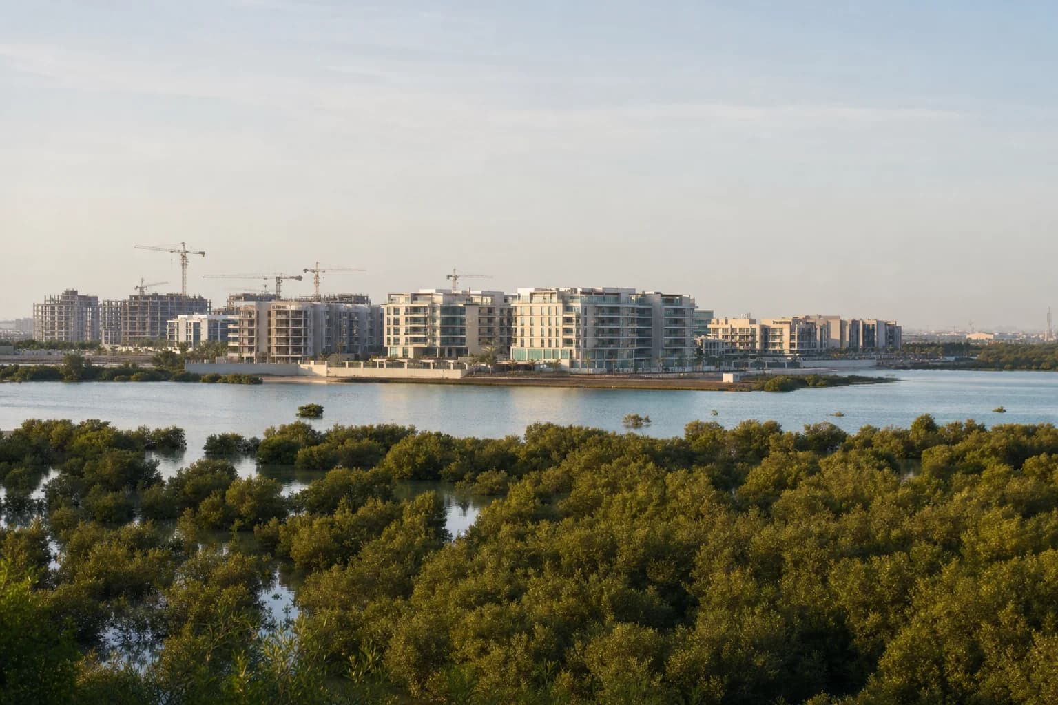 Abu Dhabi residential districts beyond a mangrove shoreline