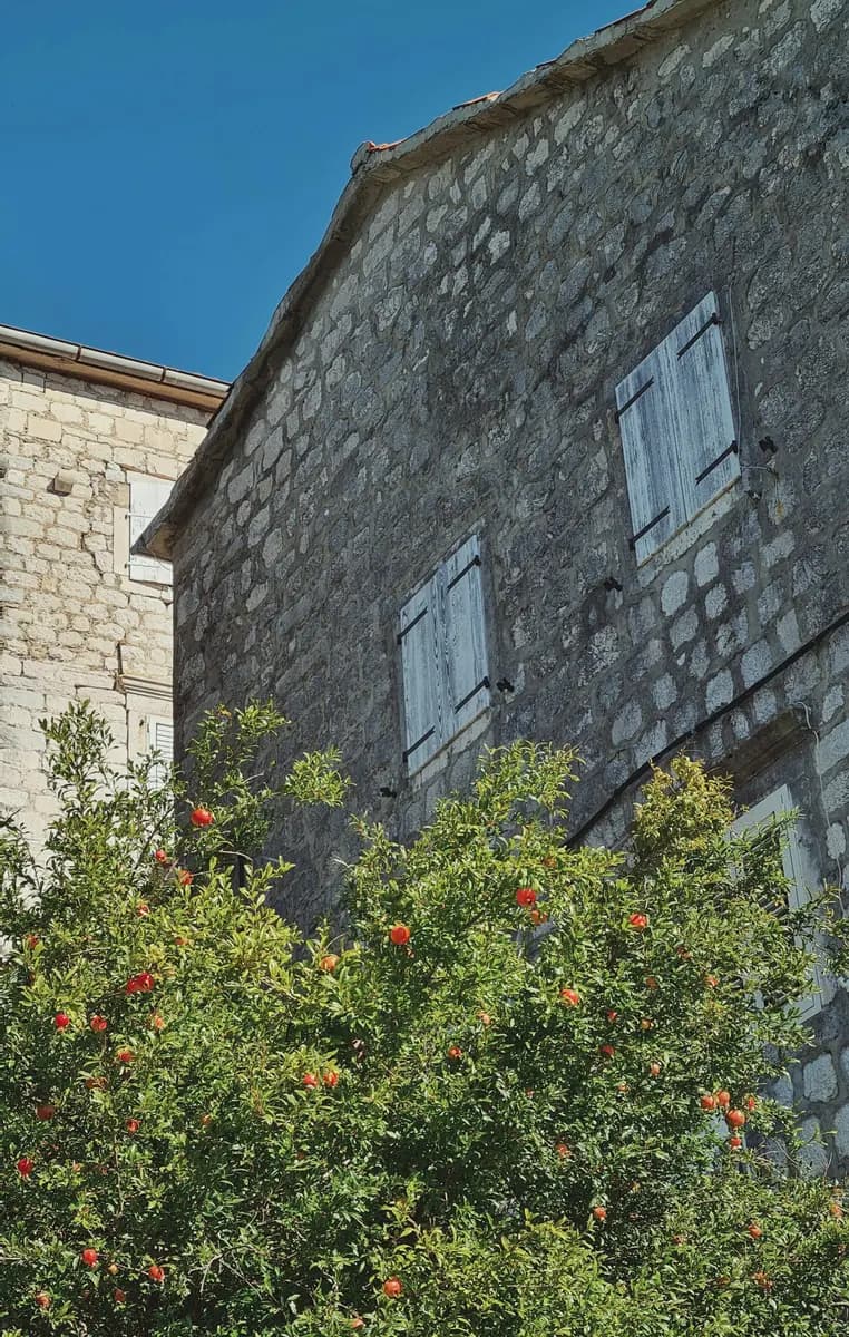 Weathered stone walls, shuttered windows and a tree in Perast.